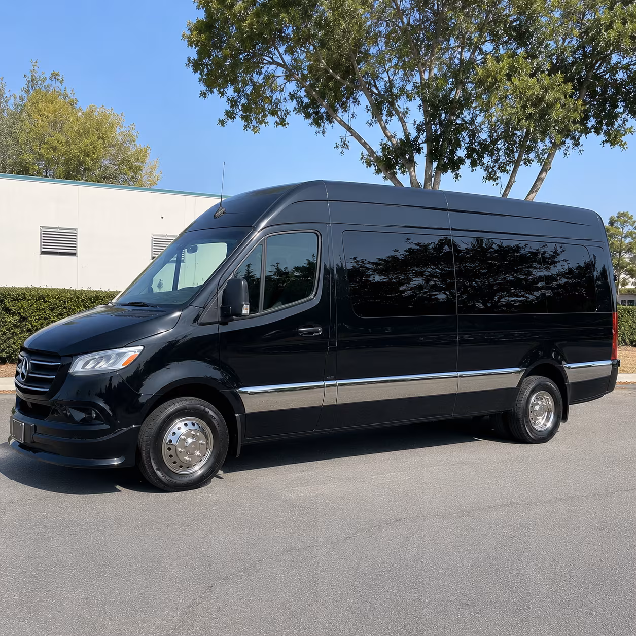 find the perfect transportation for your next birthday 1