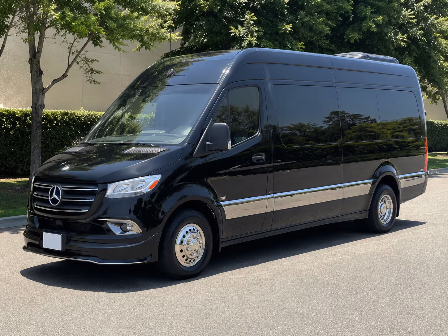 thousand oaks 12 passenger sprinter van